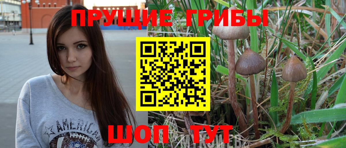 Галлюциногенные грибы MAGIC MUSHROOMS  купить наркотики цена  Камень-на-Оби  Вход с VPN  Галлюциногенные грибы Magic Shrooms 
